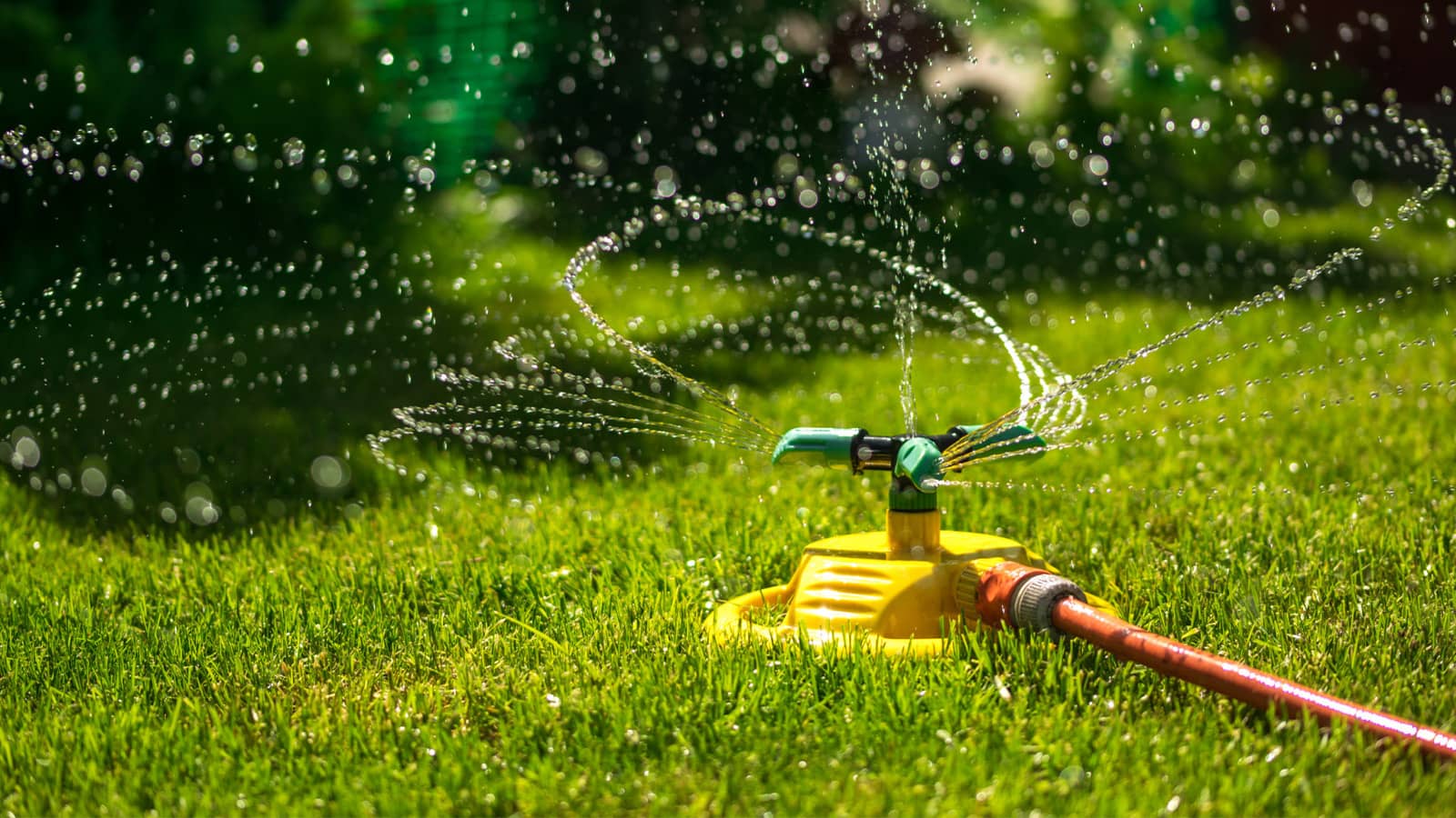 Sprinkler Watering Lawn Sunshine