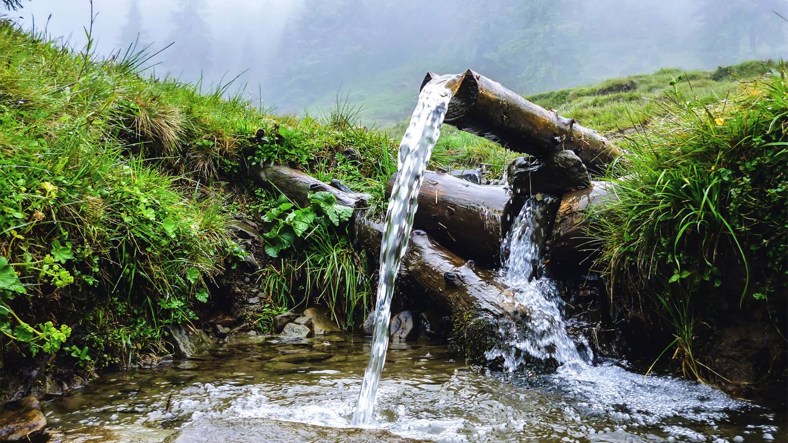 natural water running stream