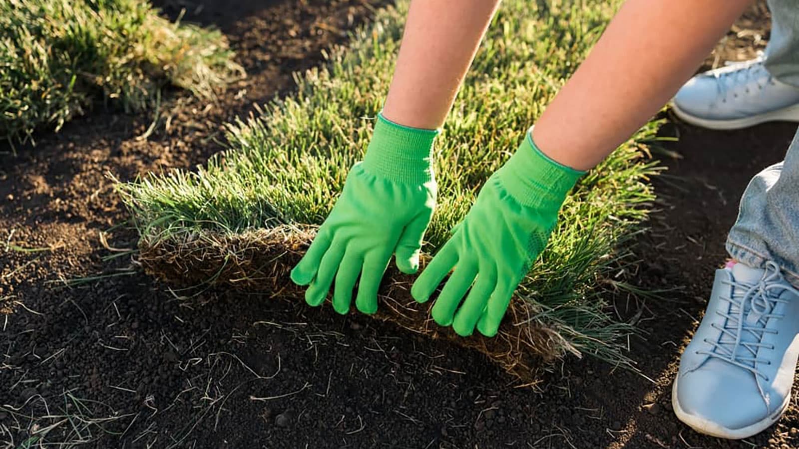 How to Lay Sod in the Summer
