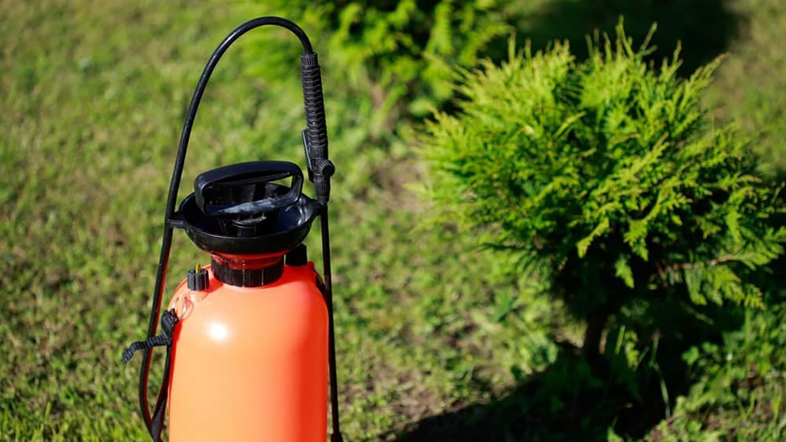 How to Apply Liquid Lawn Care