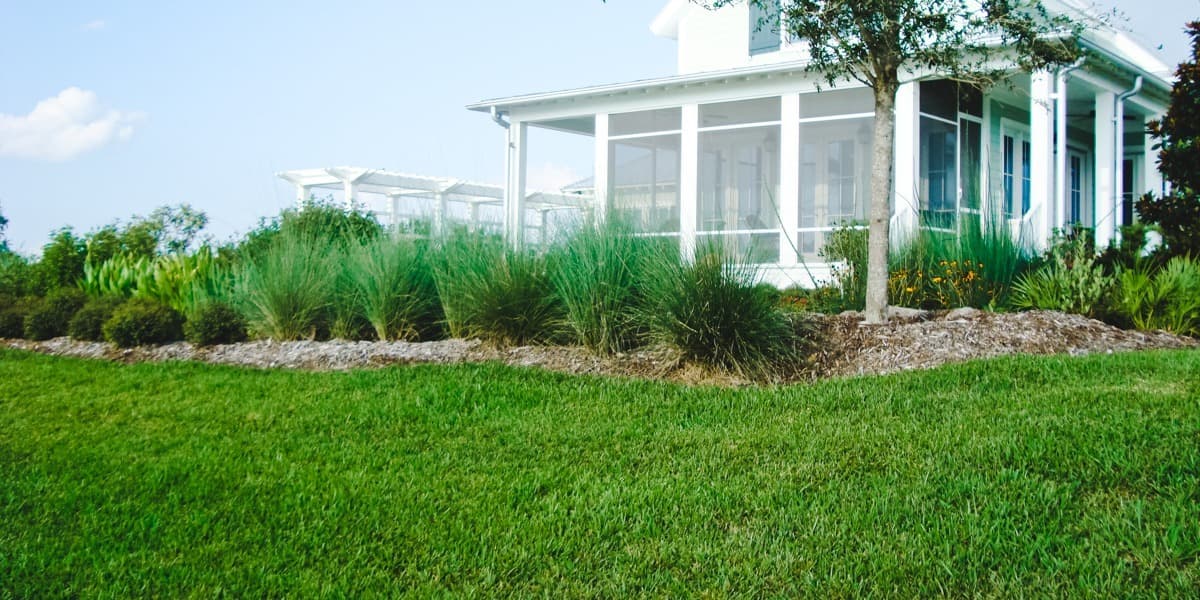 St Augustine Lawn