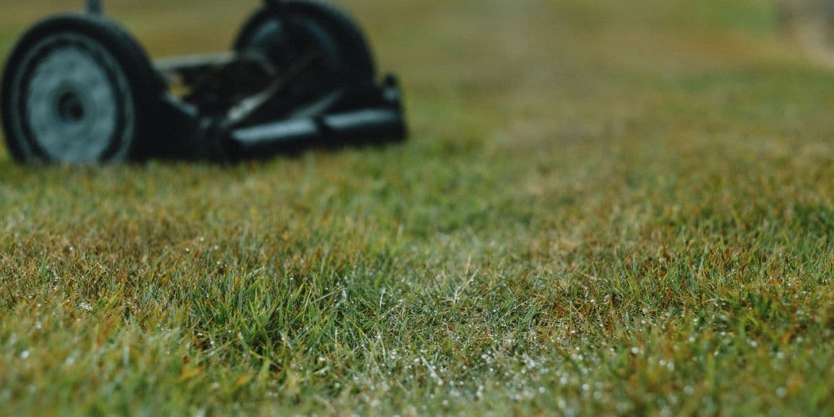 Mower On Wet Grass