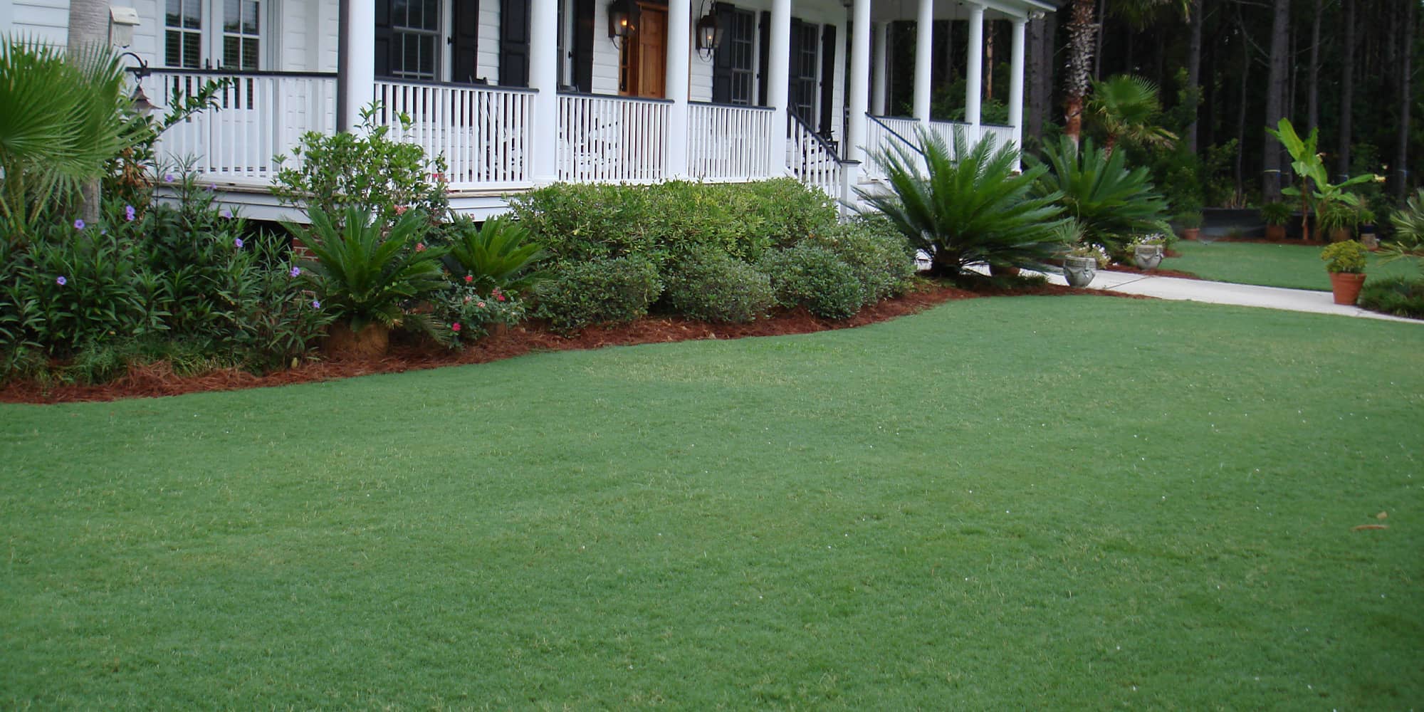 Celebration Bermuda Home Lawn 2000x1000