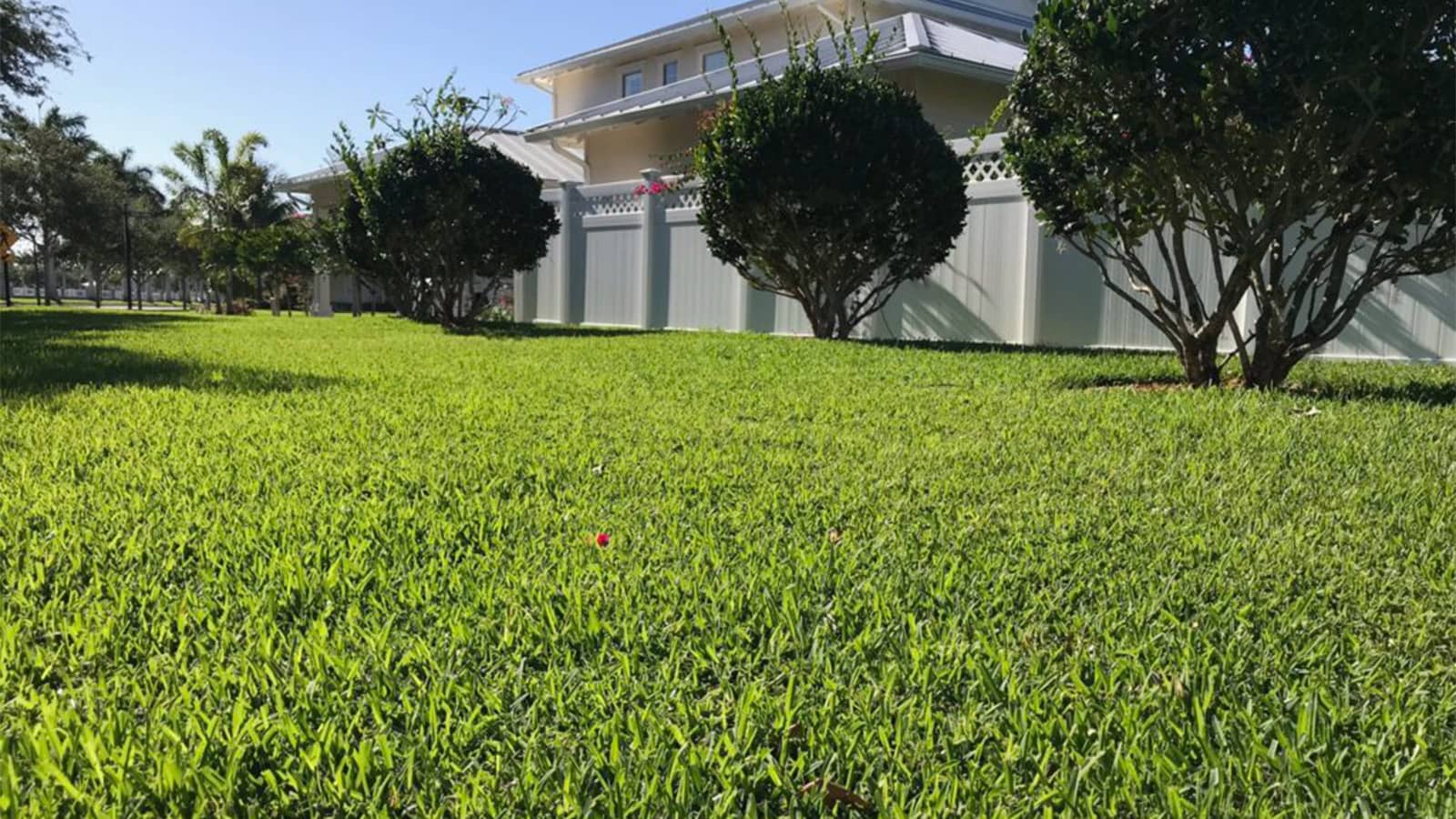 Floratam St Augustine Home Lawn In Florida