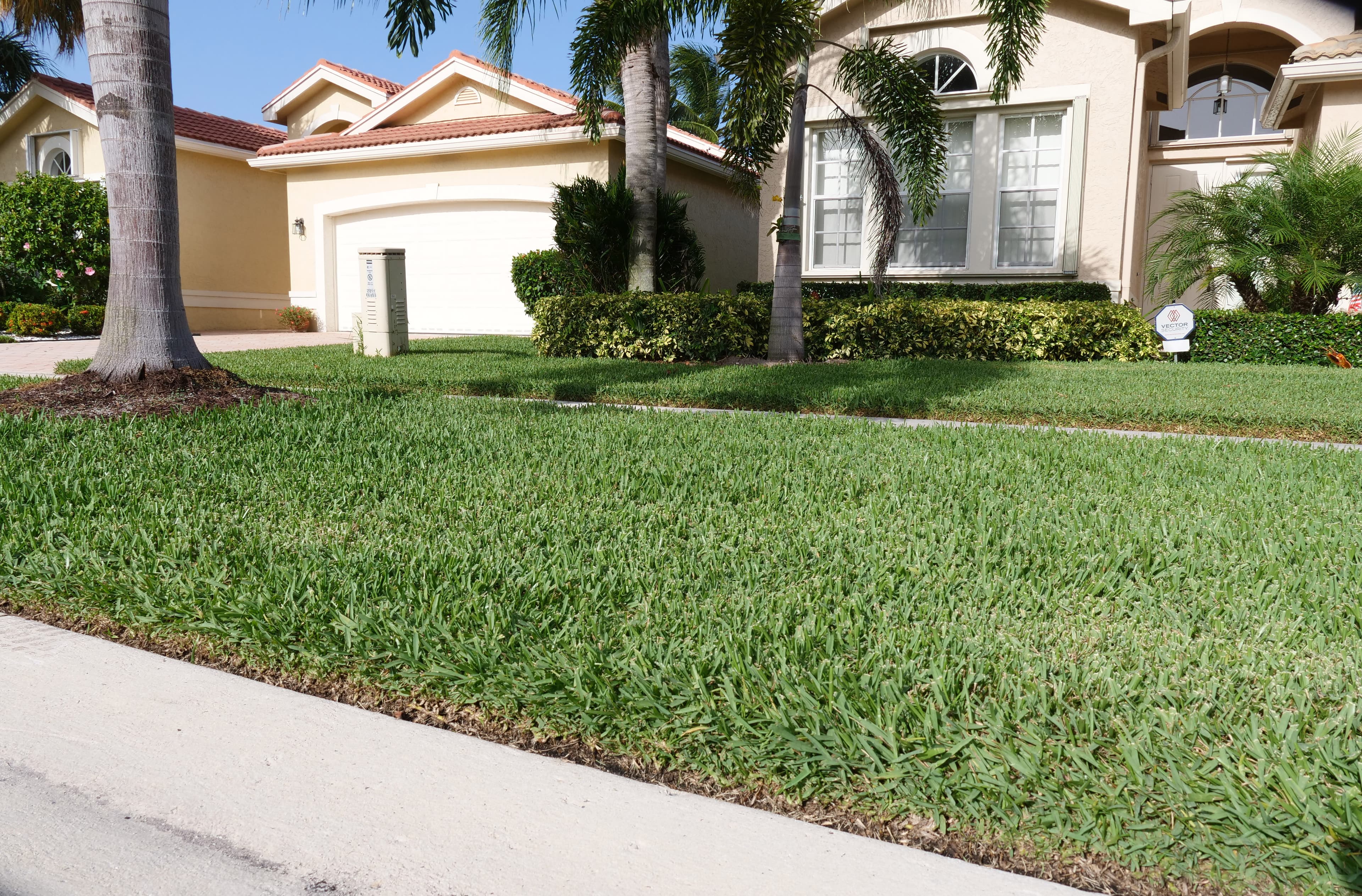 citrablue-st-augustine-valencia-palms