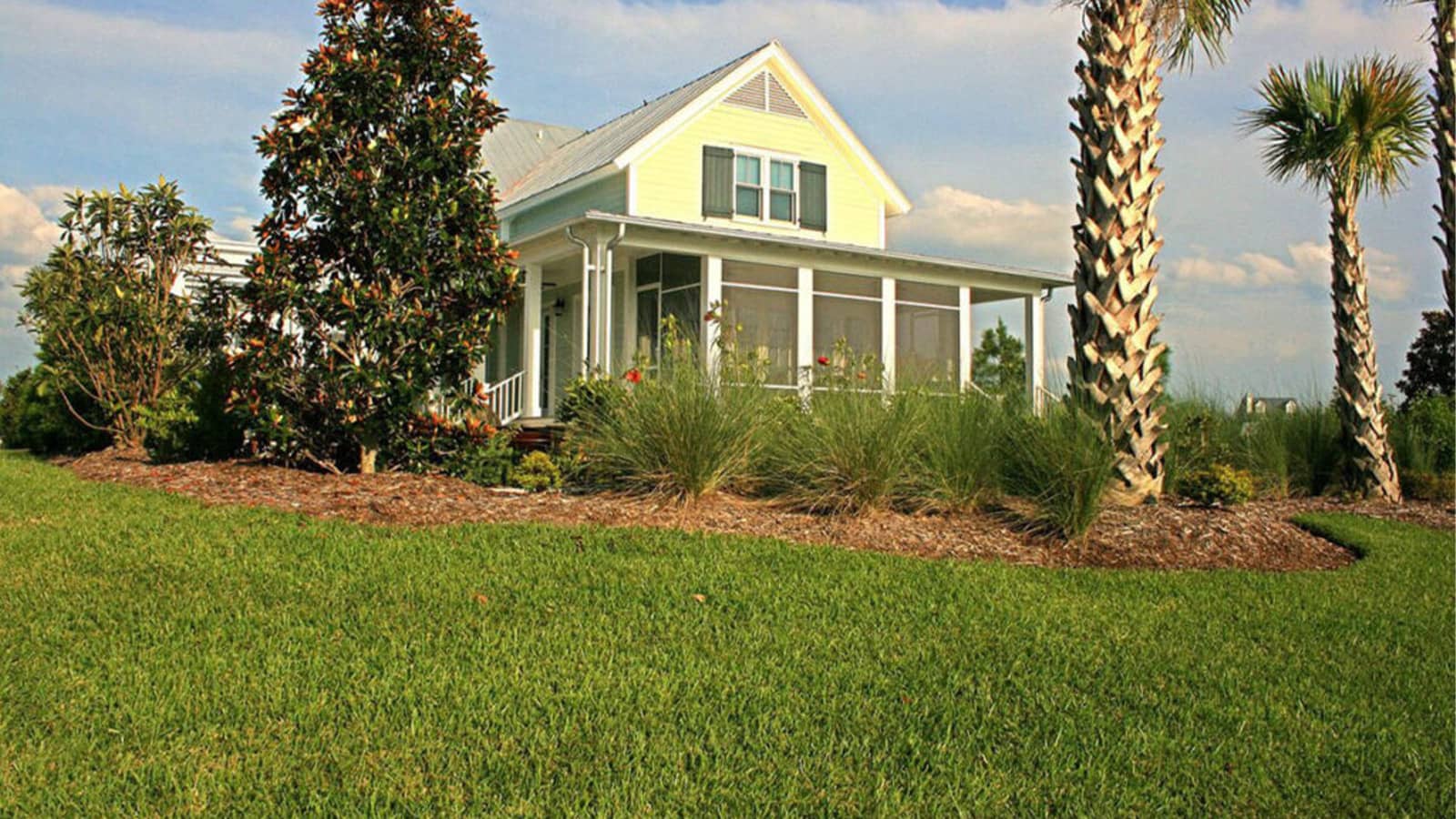palmetto at augustine grass home lawn