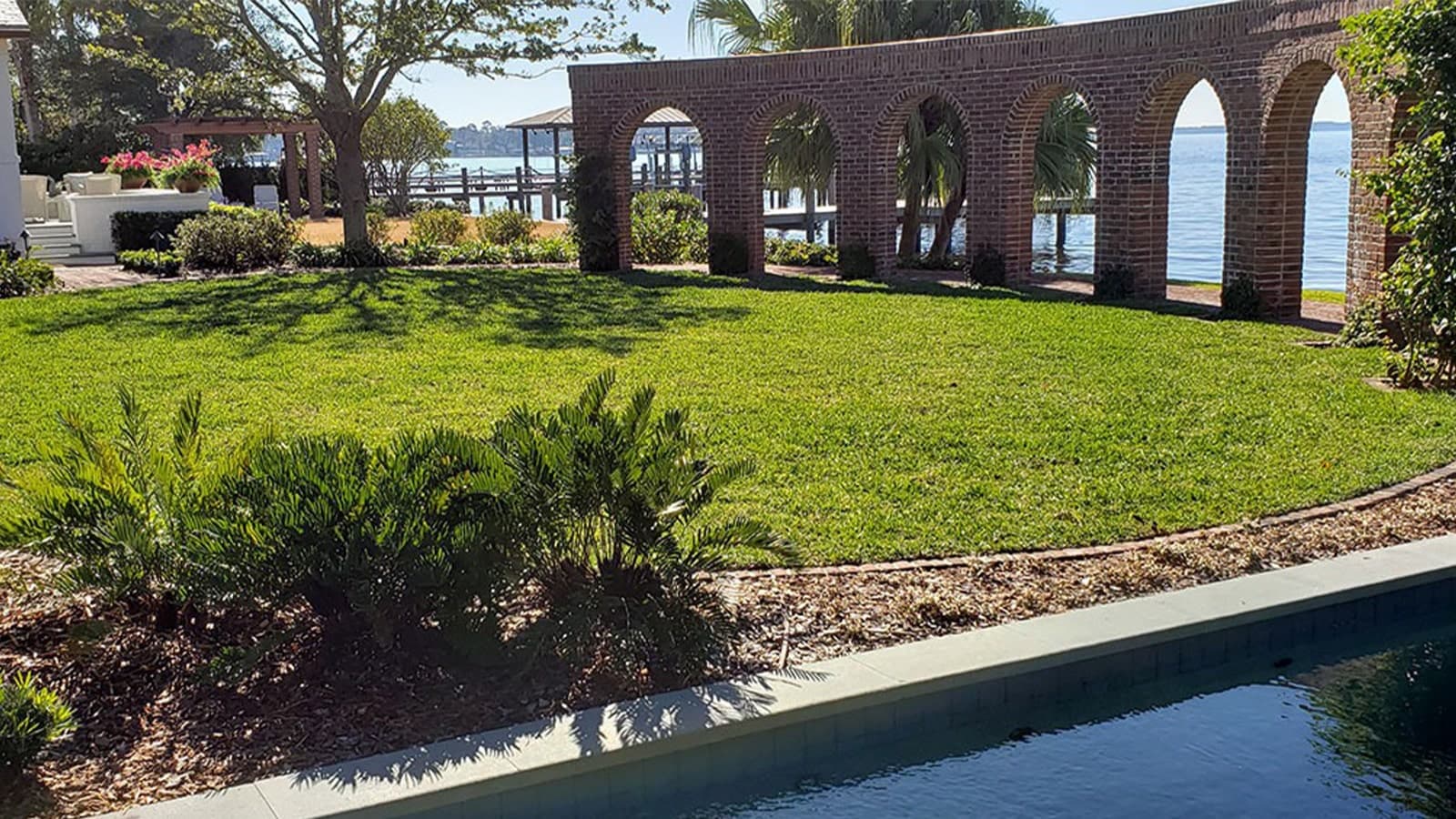 Citrablue St Augustine Grass Gulf Coast