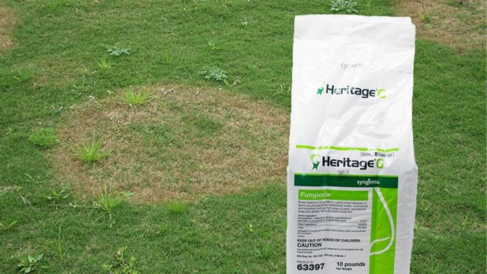 Heritage G Fungicide Product Disease Grass
