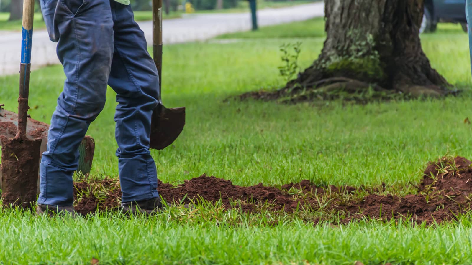 Man Digging In Ground Soil Preparing For Sod