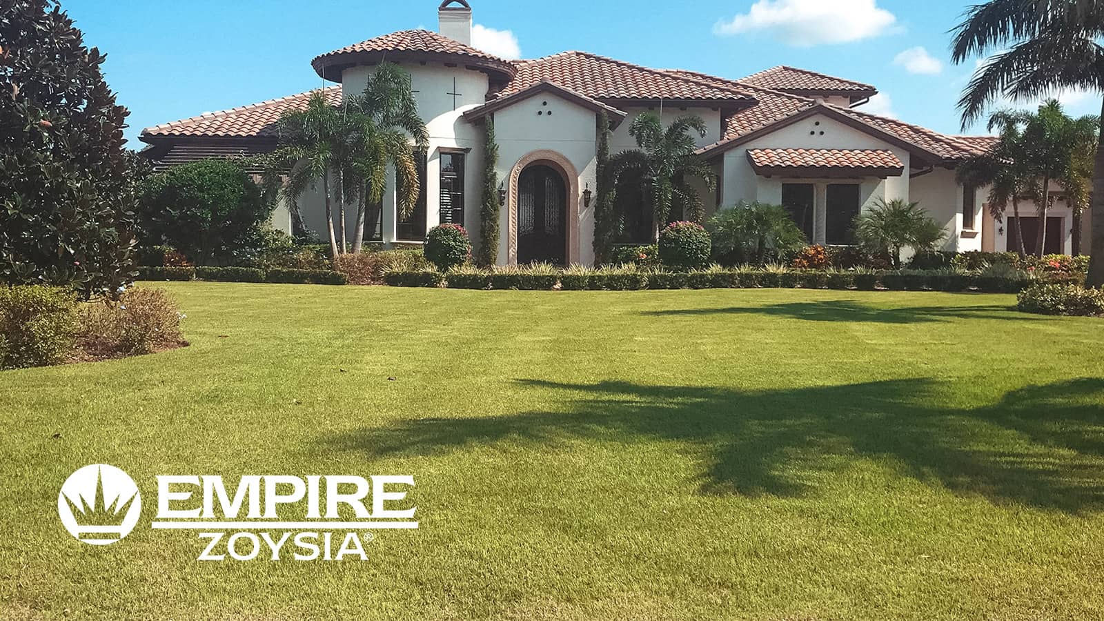 Empire Zoysia Grass Home Lawn Front Yard