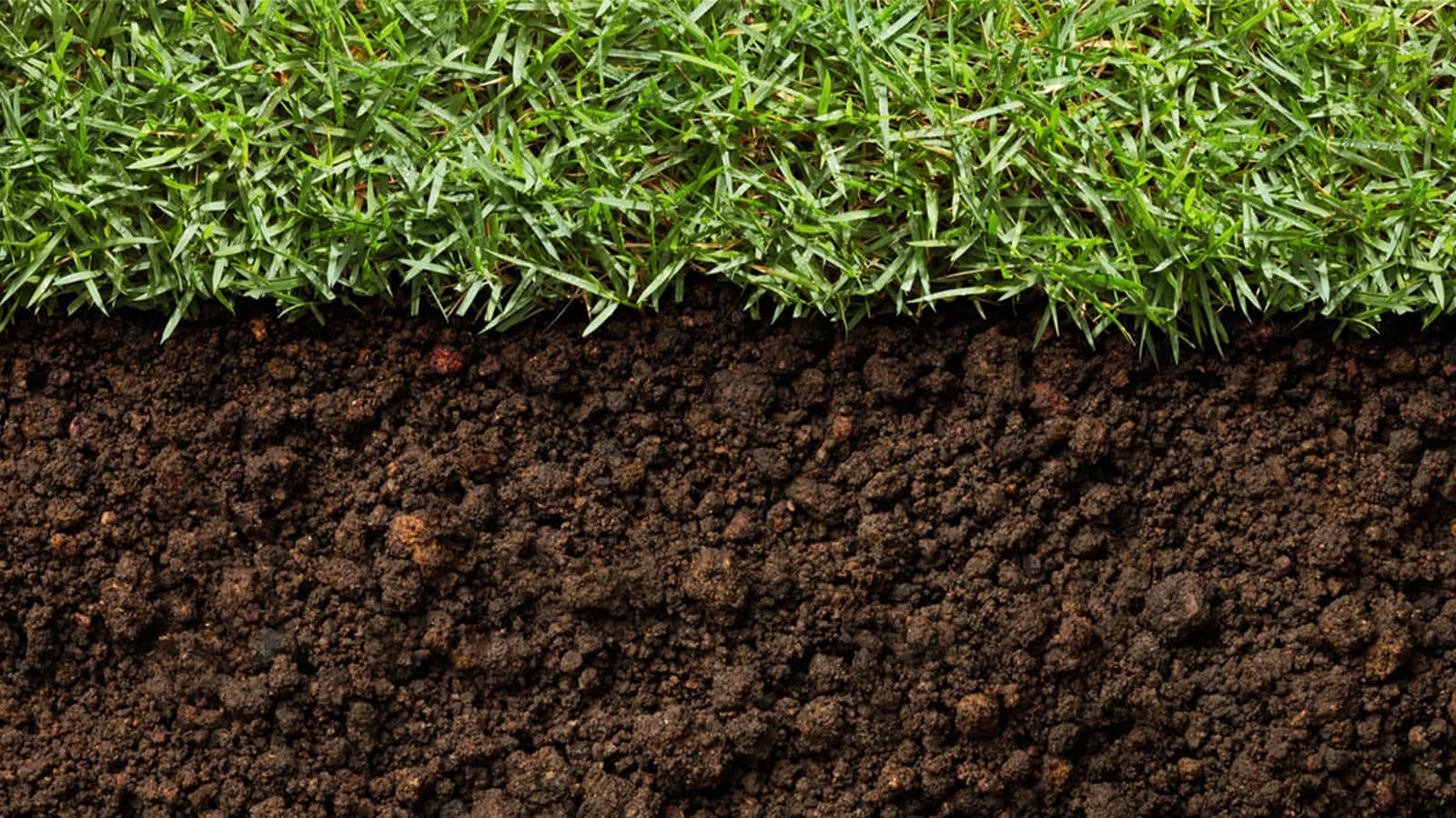 What are Micronutrients?