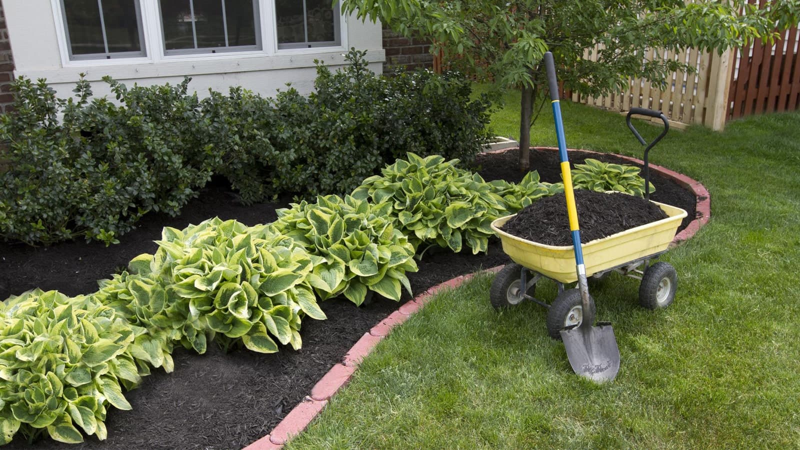 Home Lawn Mulch Installed In Bed
