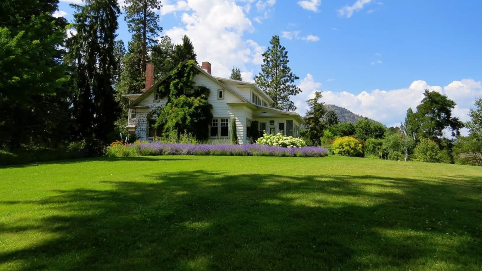 The Best Grass for Shade