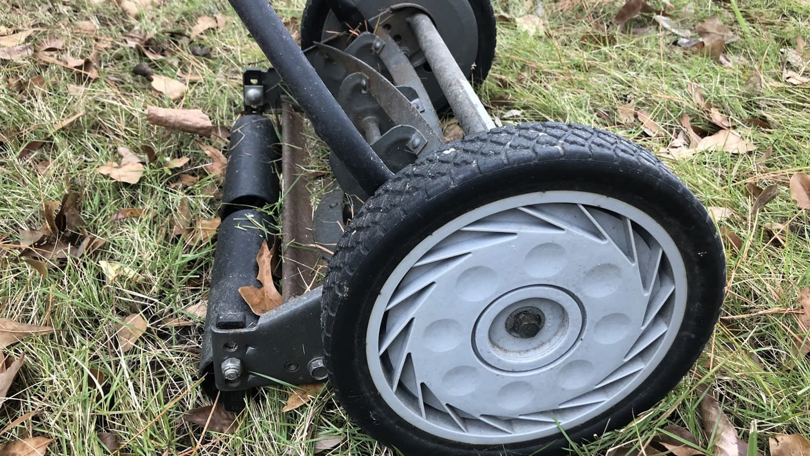 Reel Mower Close Up Fall Leaves