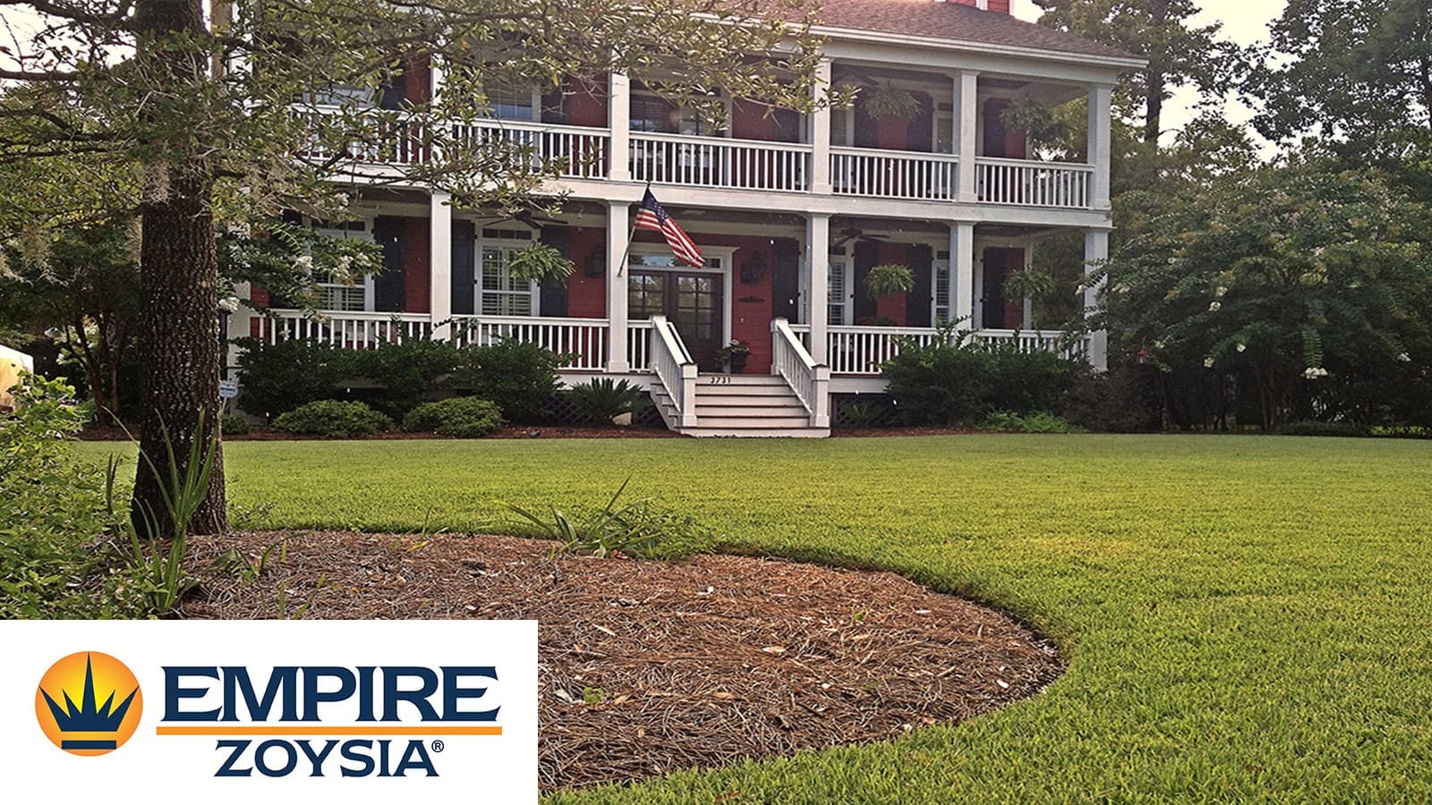 Empire Zoysia Grass Front Yard With Logo