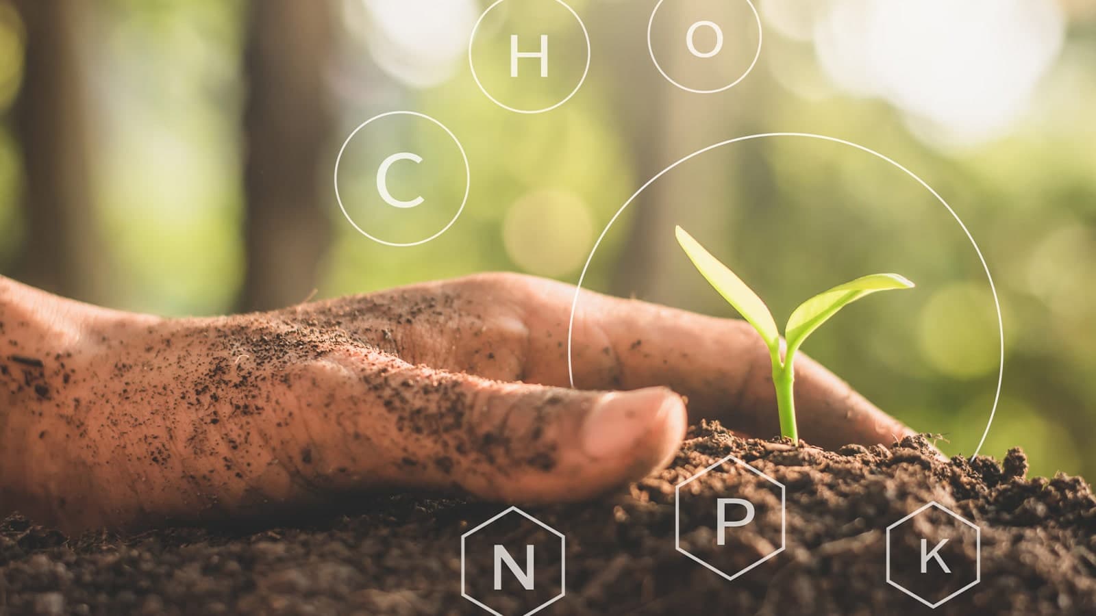 Hand In Soil Planting Carbon Nutrients