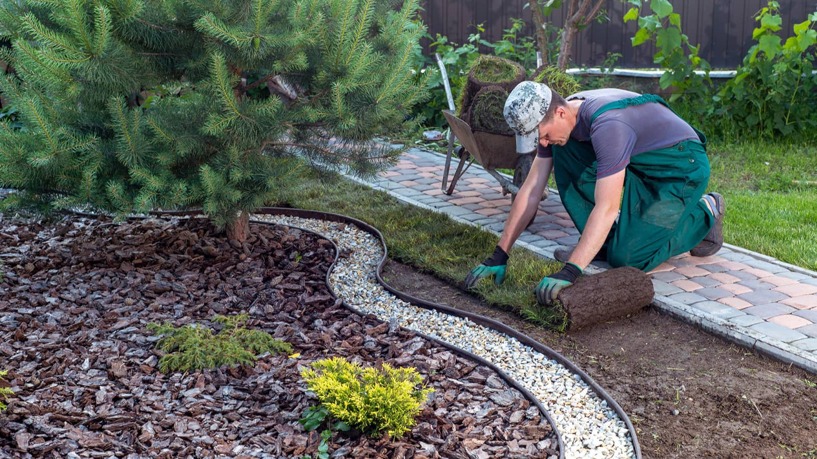 Man Laying Sod Along Landscaping In Home Lawn