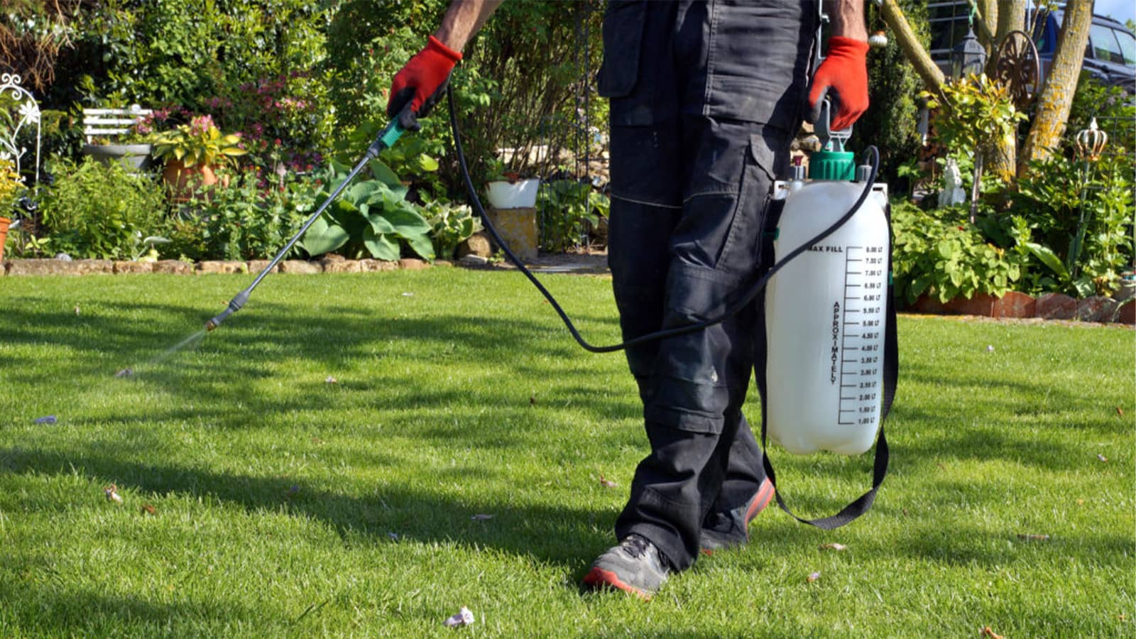 When to Apply Spring Pre-Emergent