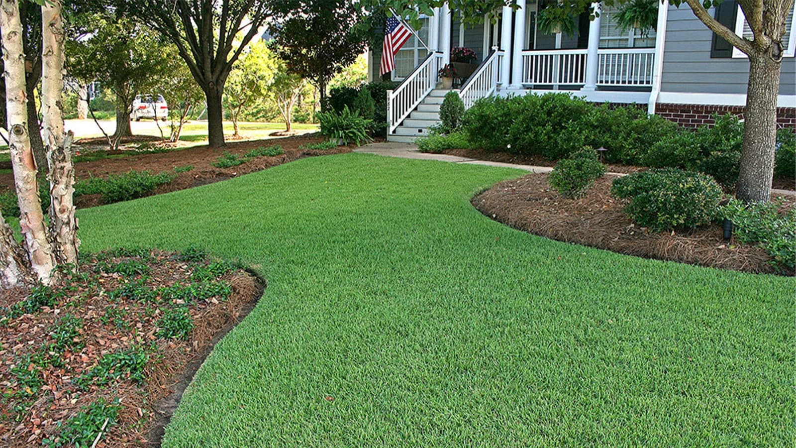 Front Yard Of Empire Zoysia Lawn