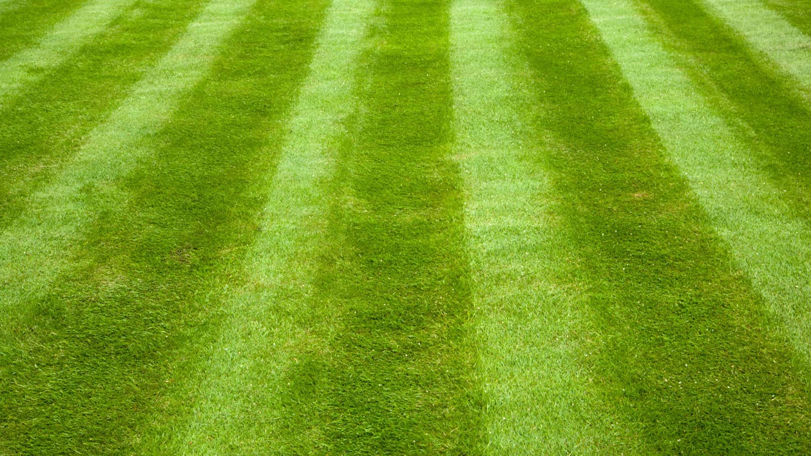 Home Lawn Mowing Stripe