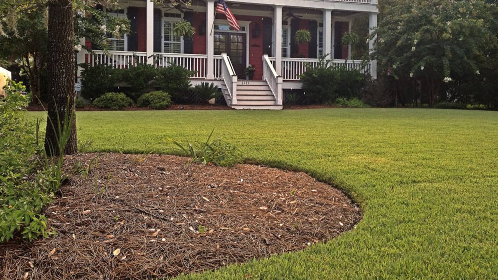 Front Yard Of Empire Zoysia Grass