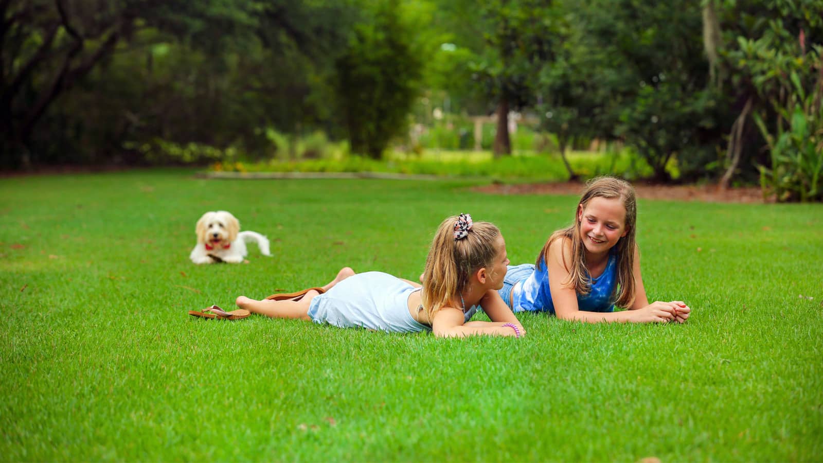 Two Girls And Dog Laying On Empire Zoysia Grass Lawn