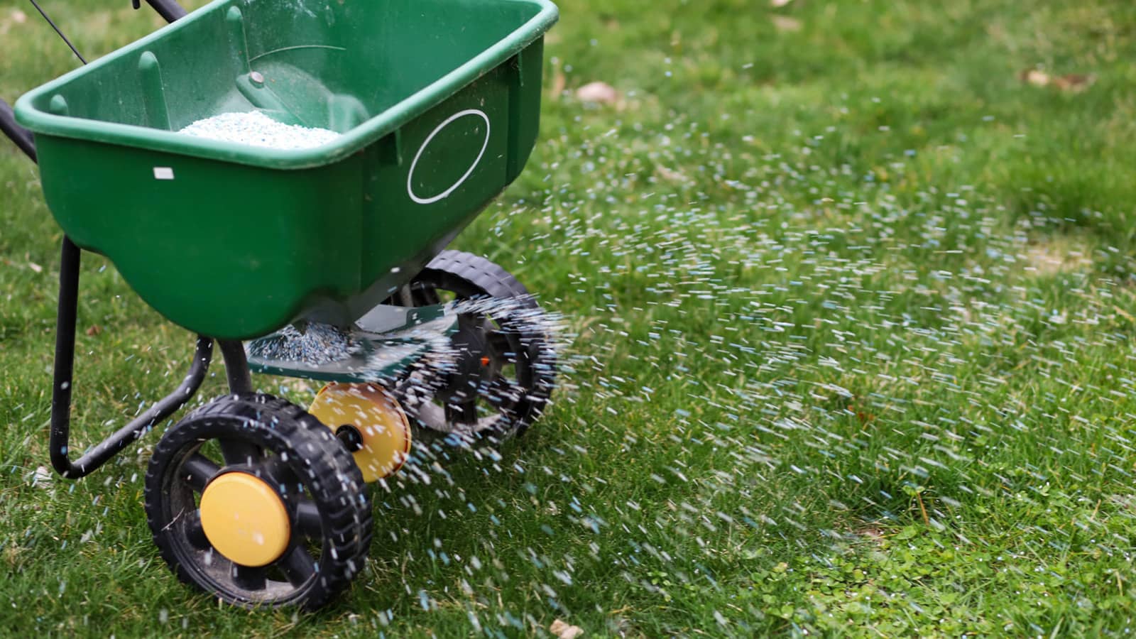 Lawn Spreader