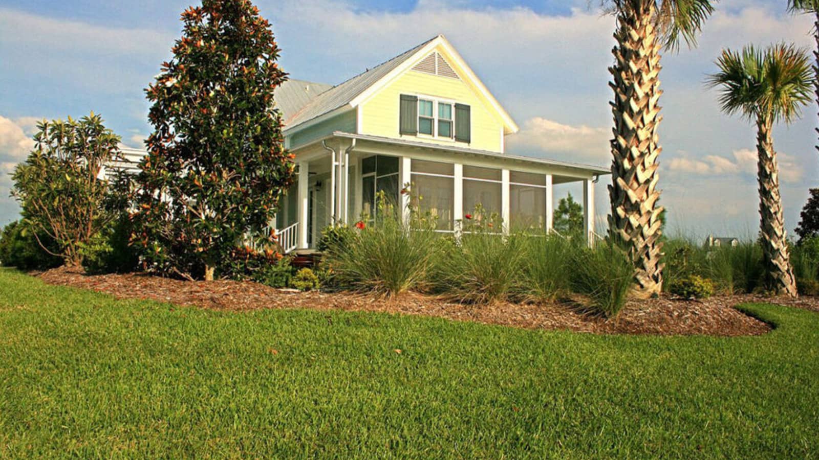 Home St Augustine Grass Carolinas