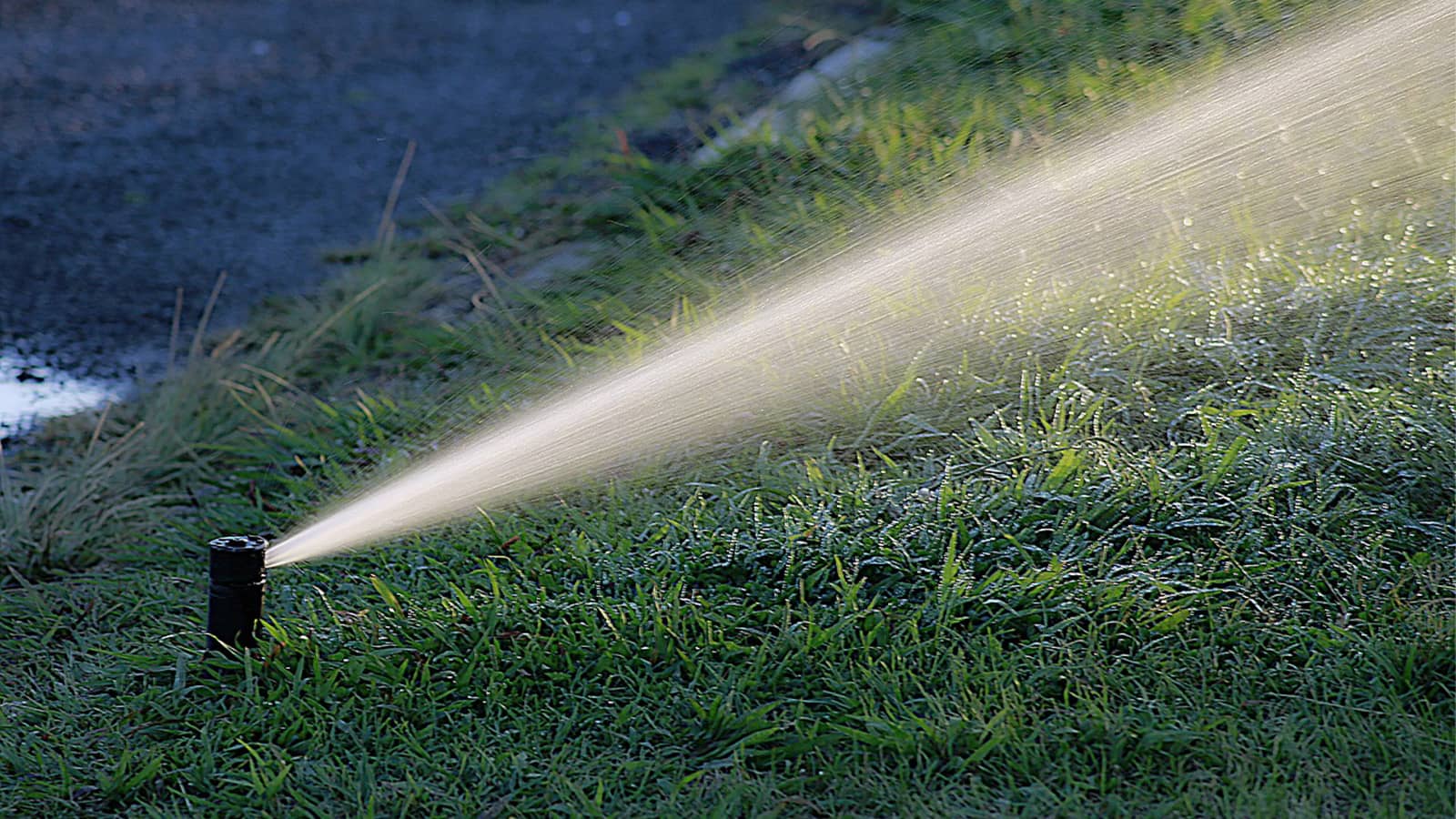 Lawn Irrigation Watering Grass With Sprinkler
