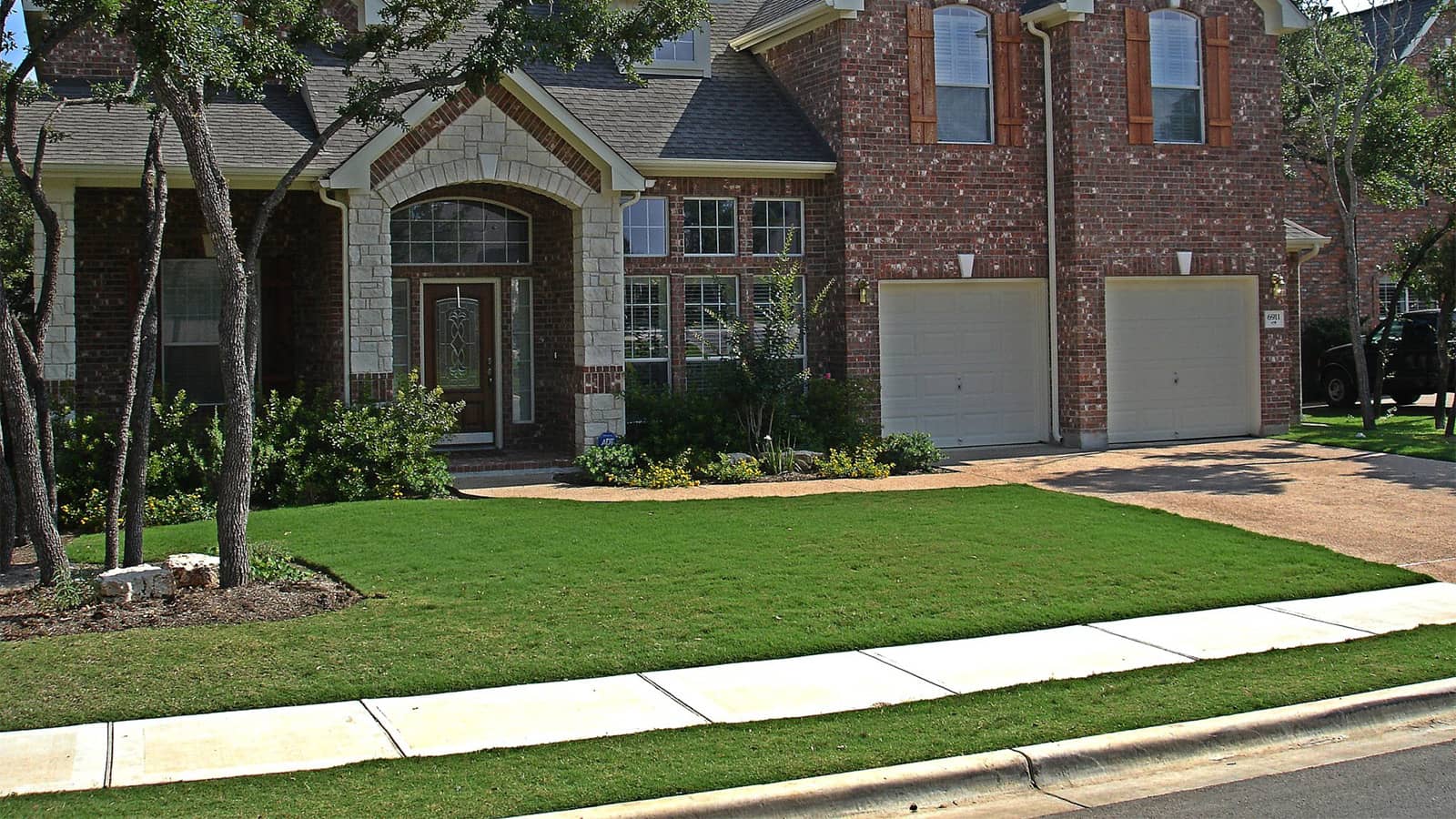 Celebration Bermuda Grass Home Lawn In Southern Texas