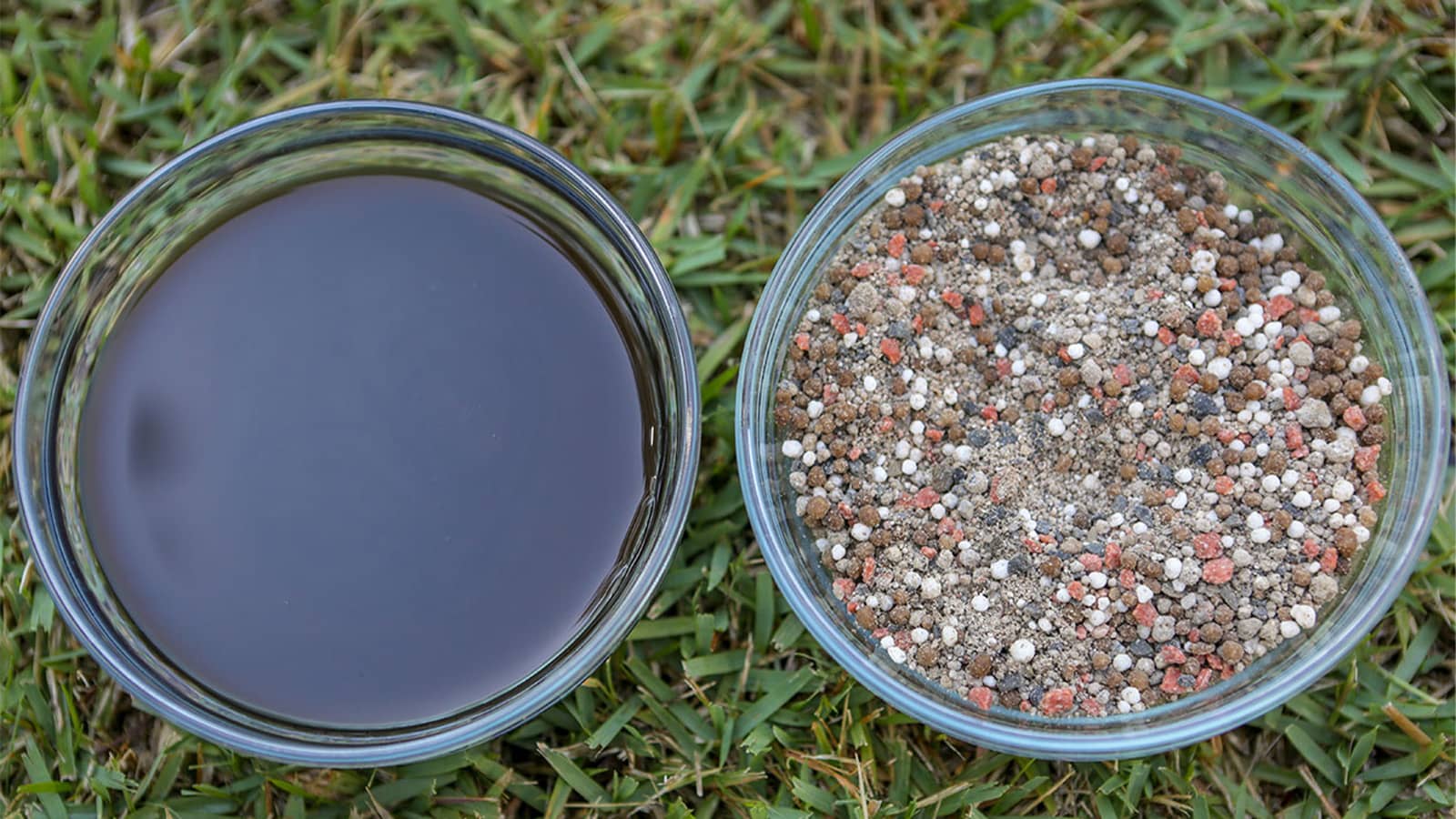granular vs. liquid fertilizer