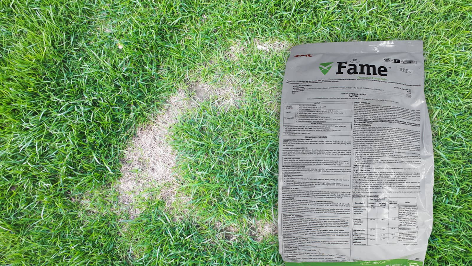 Fame Granular Fungicide For Lawn Disease Control