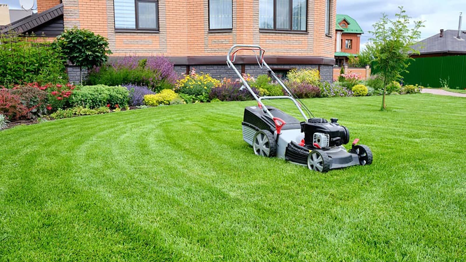 spring-lawn-care-tips
