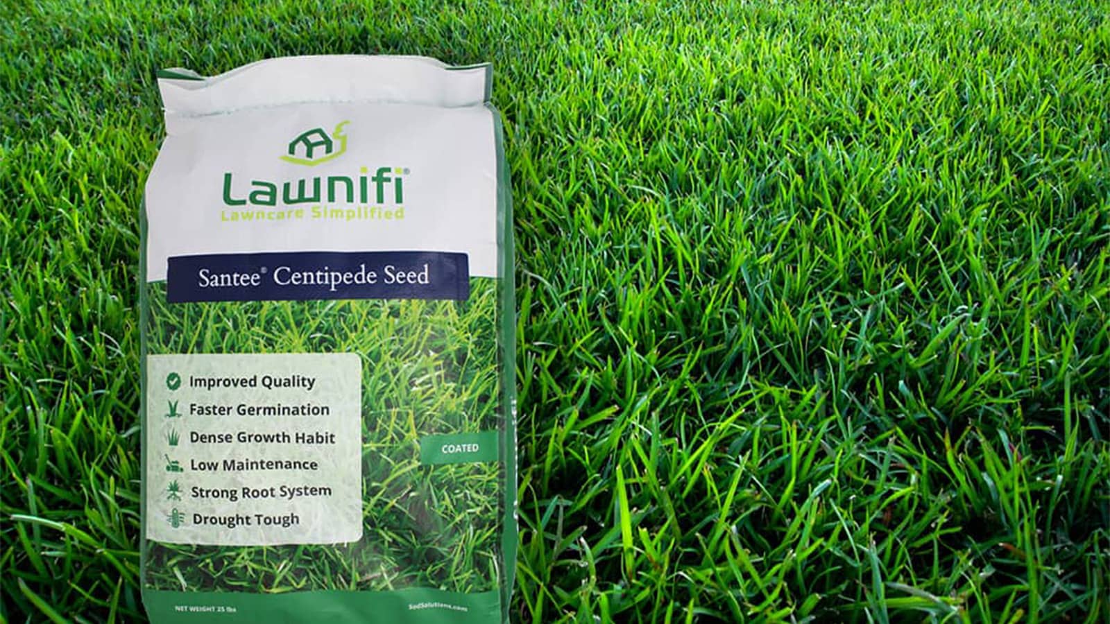 lawnifi santee centipede seed grass