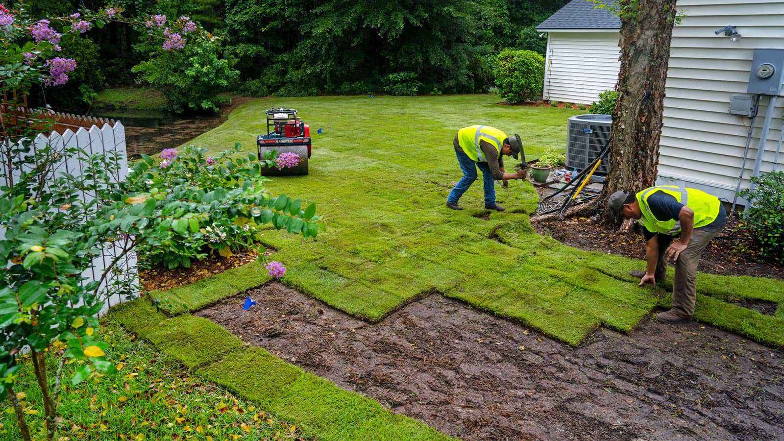new sod installation two men laying sod home lawn