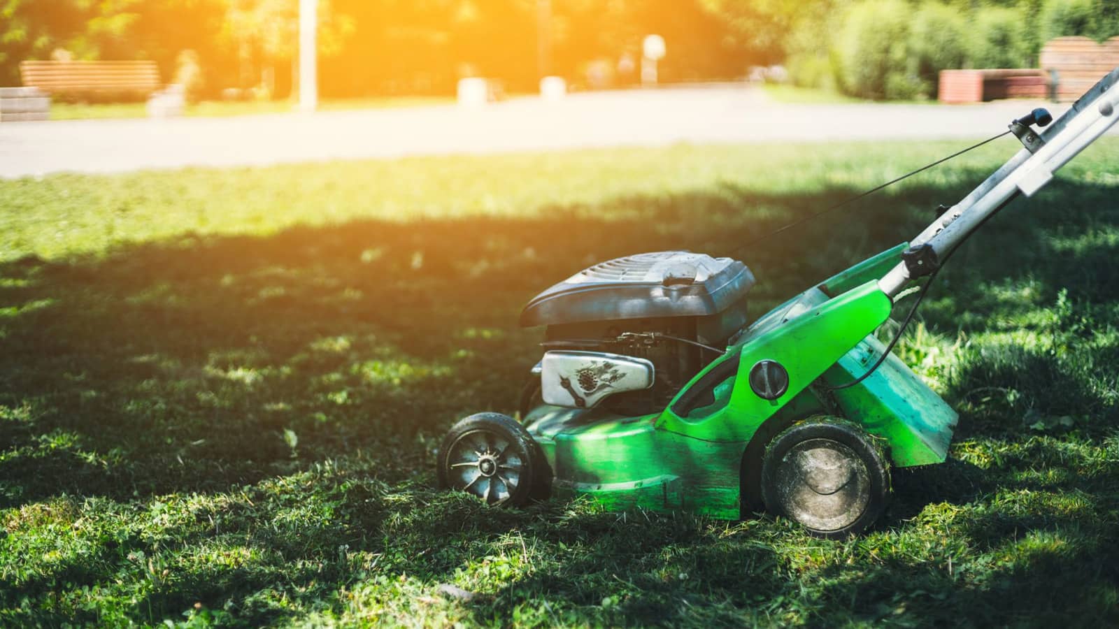 best low maintenance grass mowing lawn mower