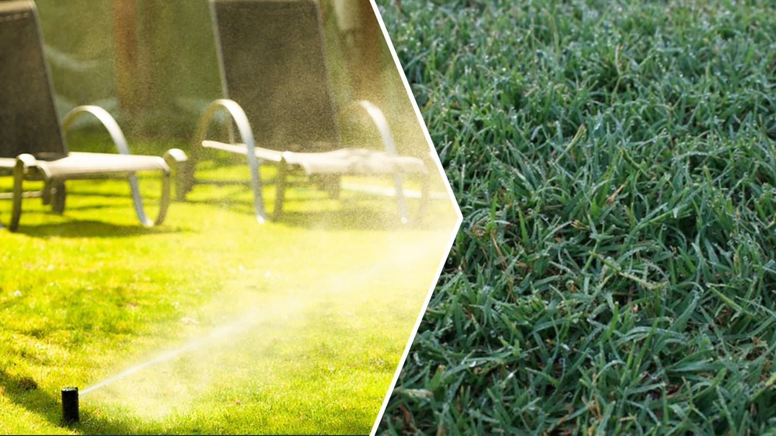 Summer Maintenance Tips for Your Bermuda Grass Lawn