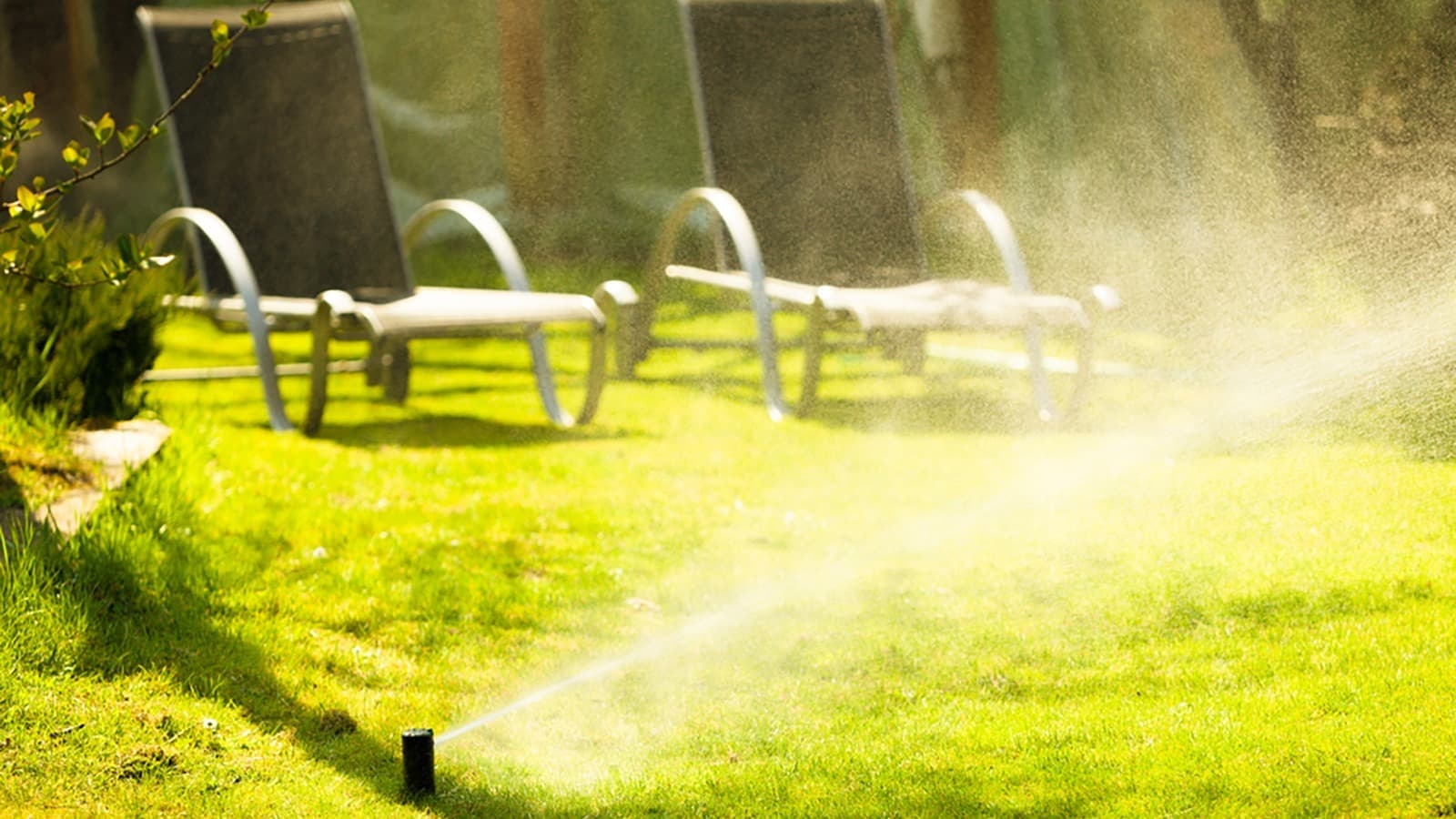 Summer Lawn Maintenance Tips