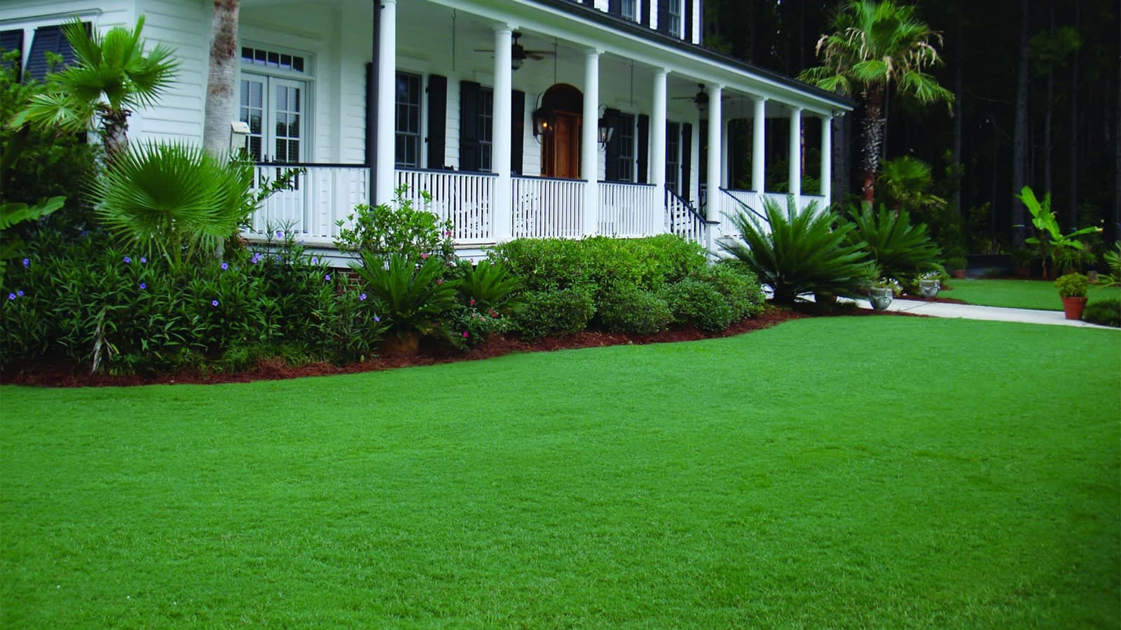 Celebration Bermuda Newly Sodded Grass Lawn