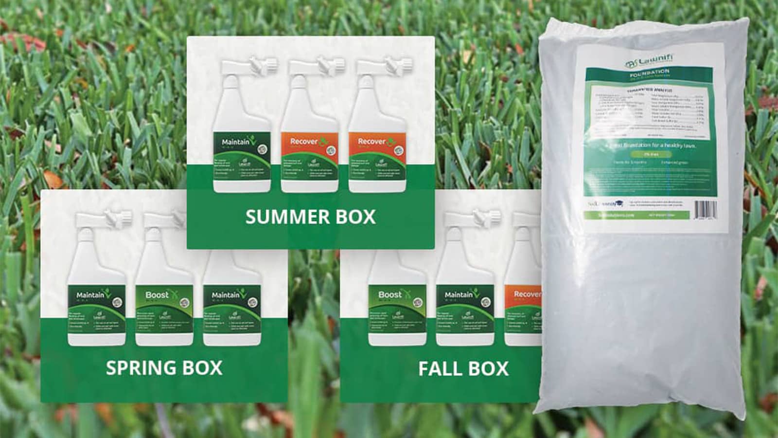Lawnifi Fertilizer Boxes Foundation St Augustine Lawn