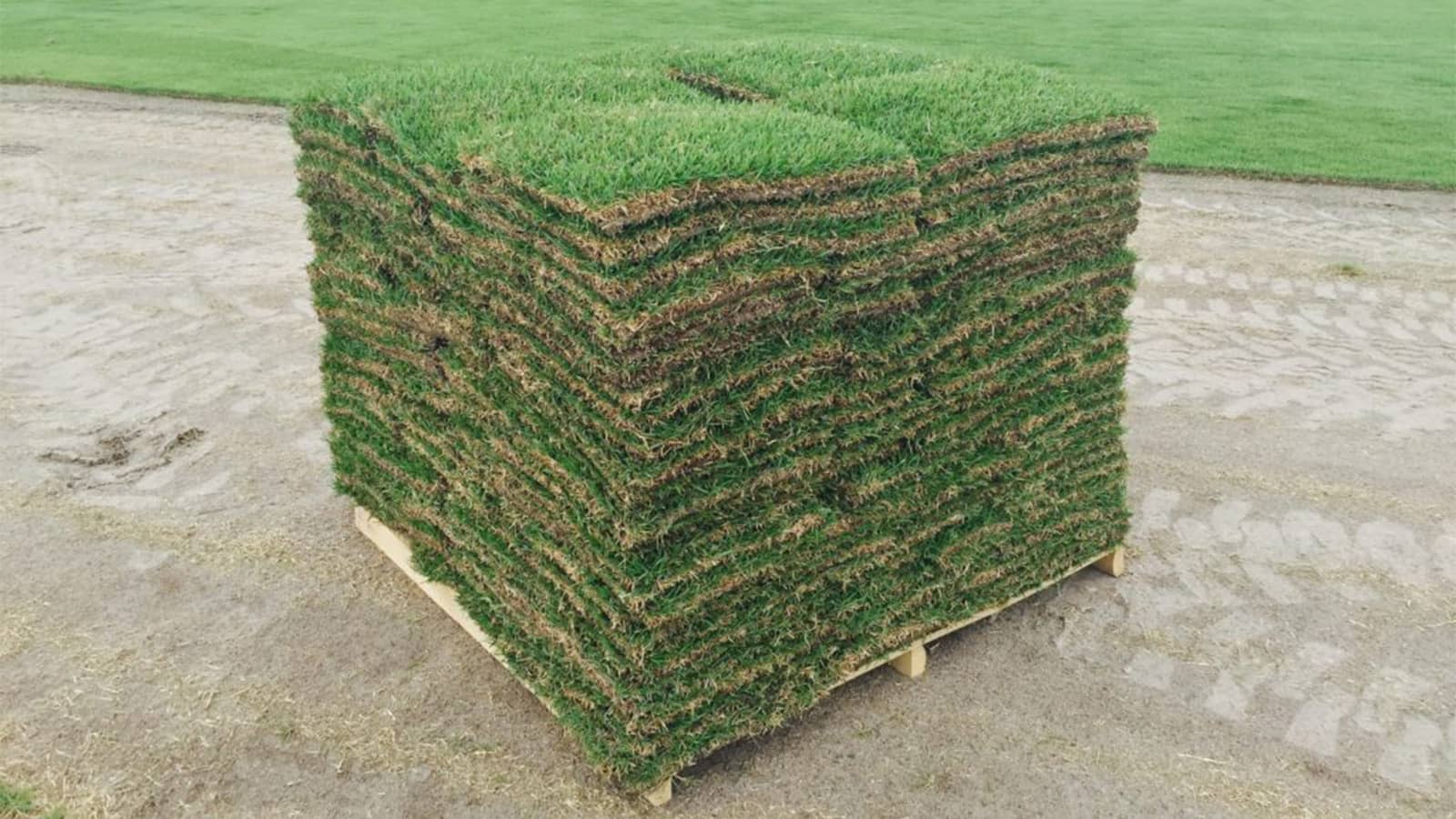 How Many Square Feet in a Pallet of Sod