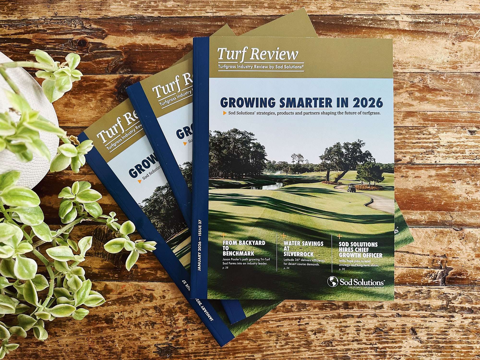 2026 Turfgrass Industry Review by Sod Solutions