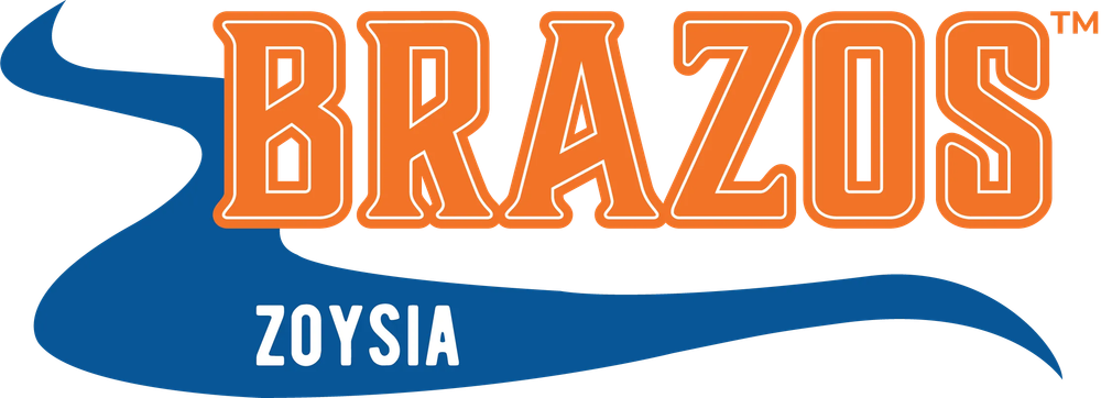 Brazos™ Zoysiagrass