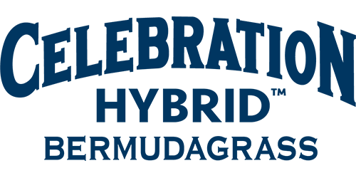 Celebration Hybrid™