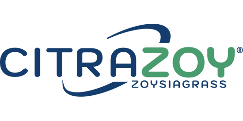 CitraZoy® Zoysia