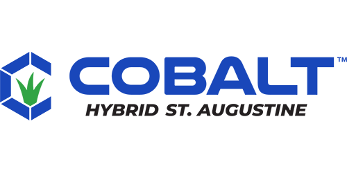 Cobalt St. Augustine