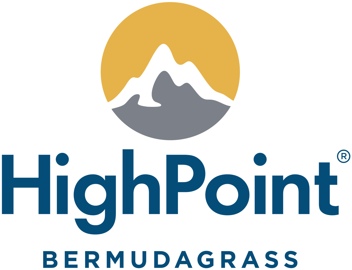HighPoint® Bermudagrass