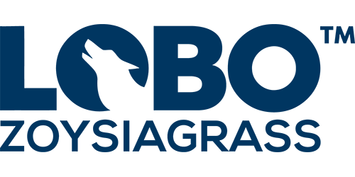 Lobo® Zoysiagrass