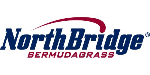 NorthBridge® Bermudagrass